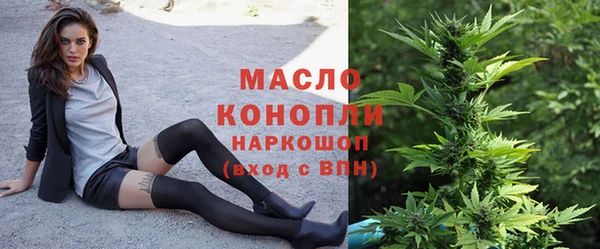 молекула духа Киреевск